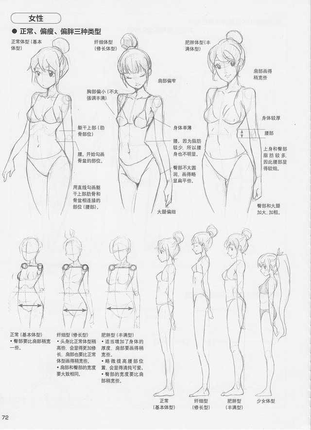 Featured image of post Anime Female Body Anatomy