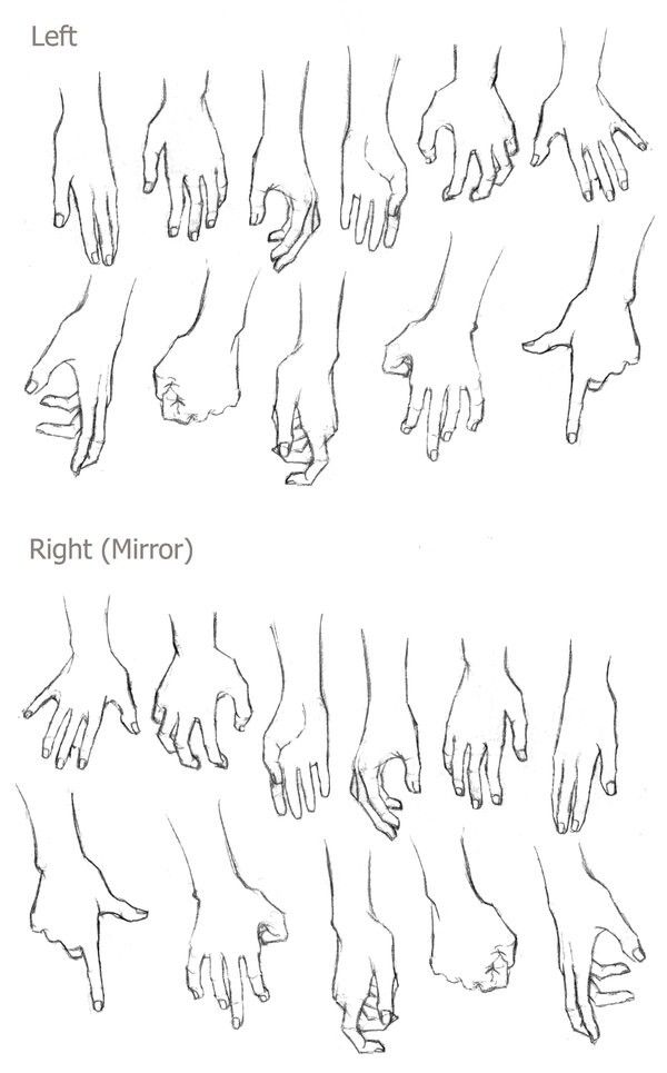 Featured image of post Anime Hand Reference Right Hand