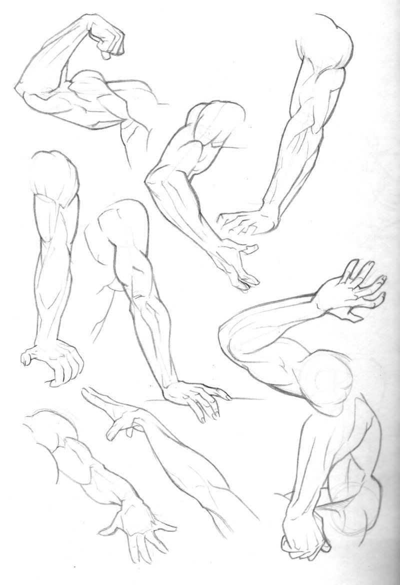 Featured image of post Arm Drawing Reference Male