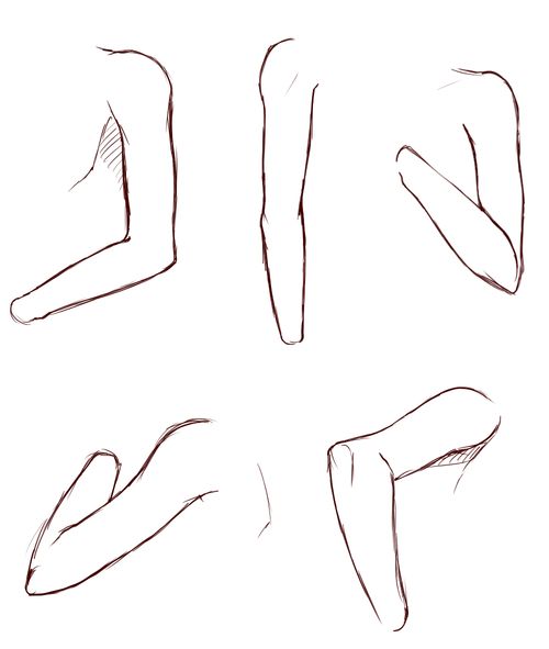 Featured image of post Female Anime Arm Drawing