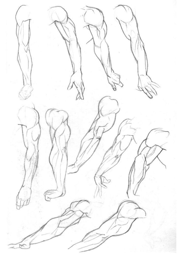 Featured image of post Muscular Arm Drawing Reference